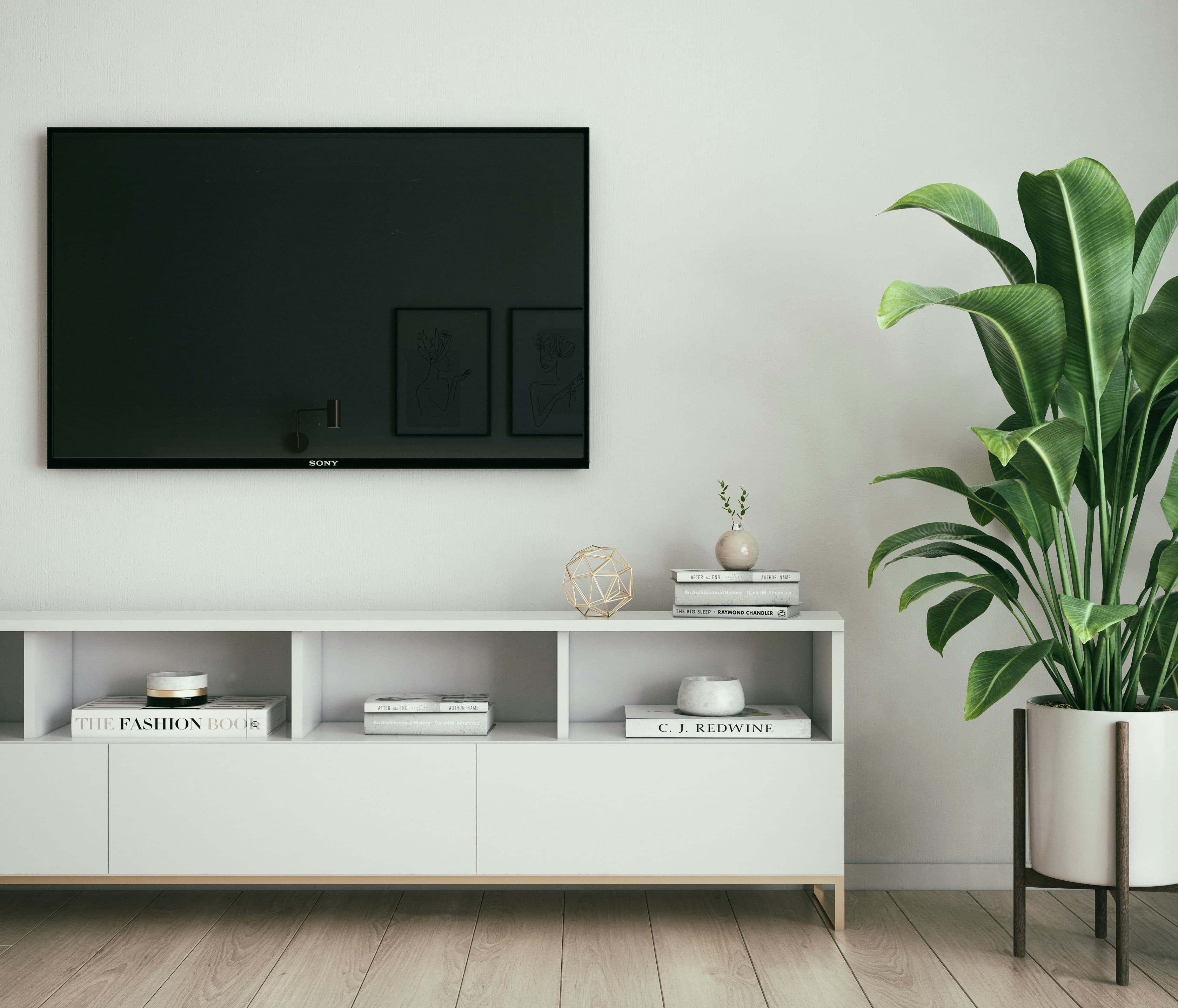 TV mounting (up to 75")